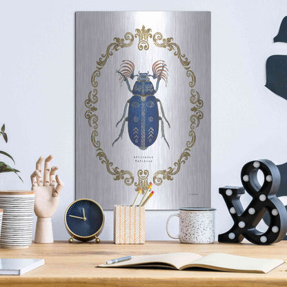 Luxe Metal Art 'Adorning Coleoptera III' by James Wiens, Metal Wall Art,12x16