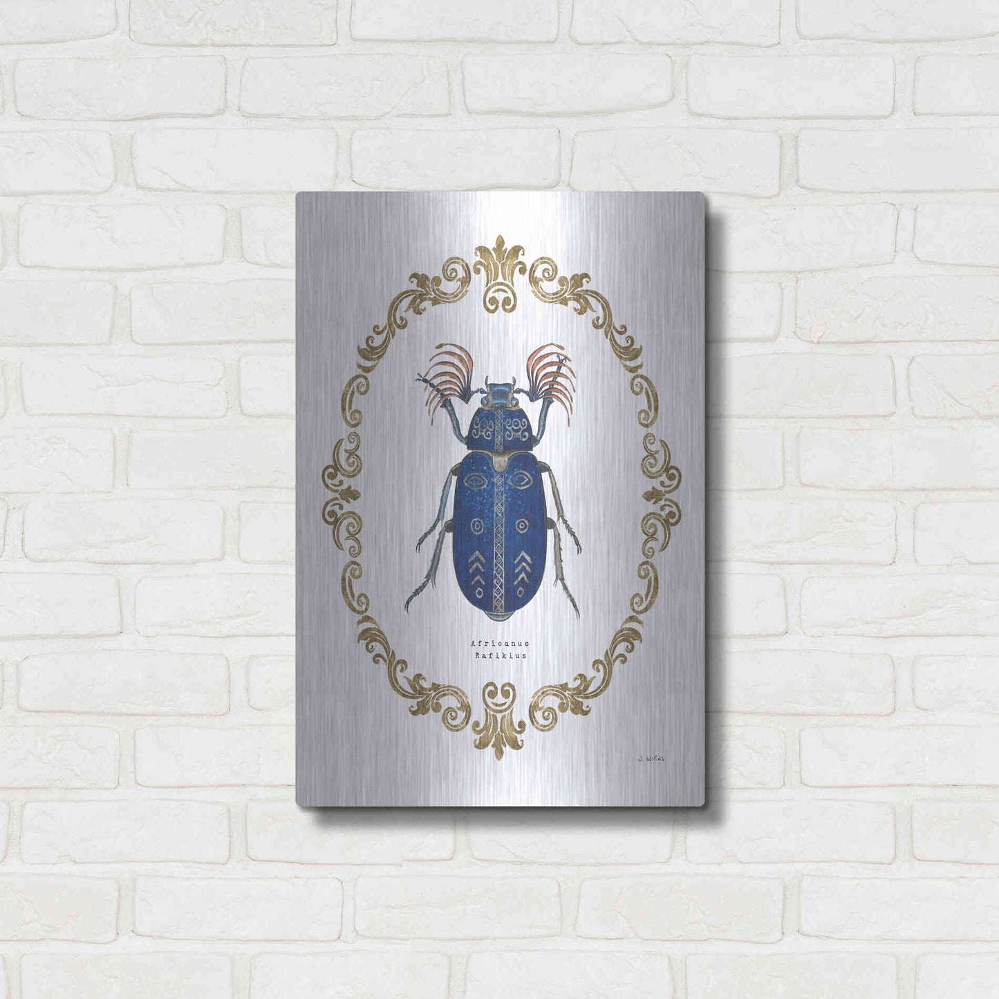 Luxe Metal Art 'Adorning Coleoptera III' by James Wiens, Metal Wall Art,16x24