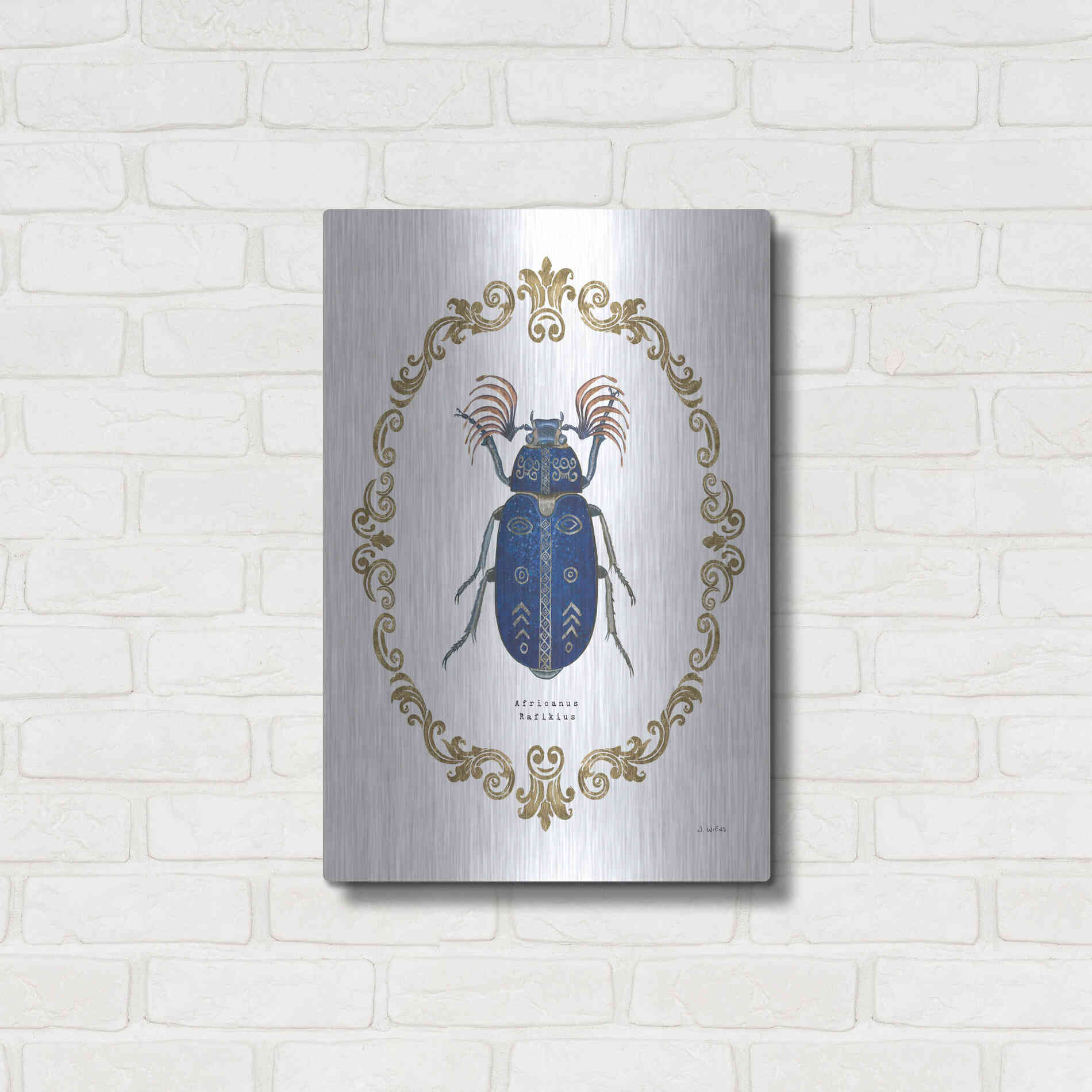 Luxe Metal Art 'Adorning Coleoptera III' by James Wiens, Metal Wall Art,16x24