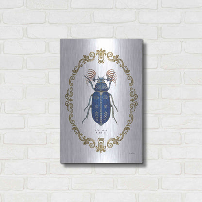 Luxe Metal Art 'Adorning Coleoptera III' by James Wiens, Metal Wall Art,16x24
