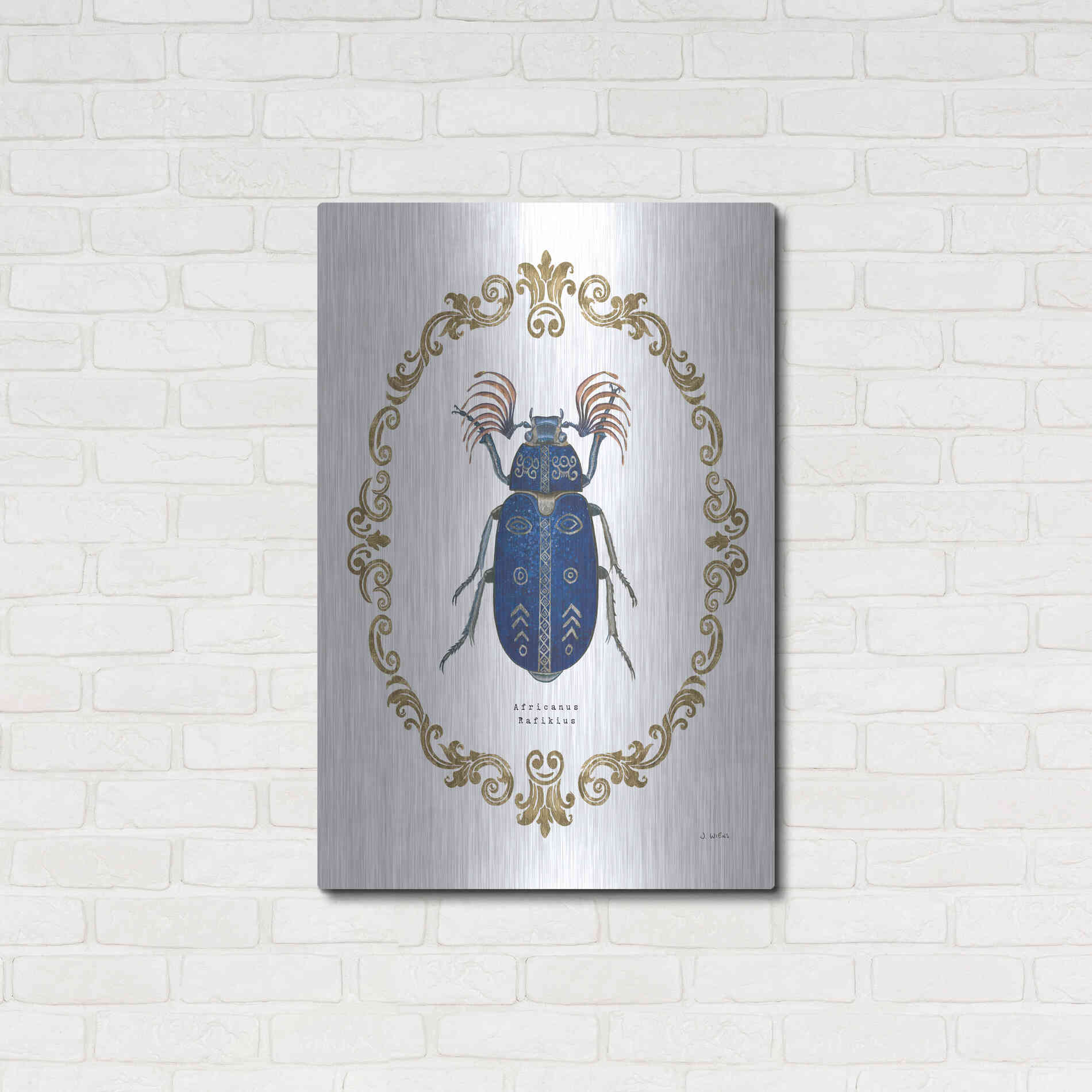 Luxe Metal Art 'Adorning Coleoptera III' by James Wiens, Metal Wall Art,24x36