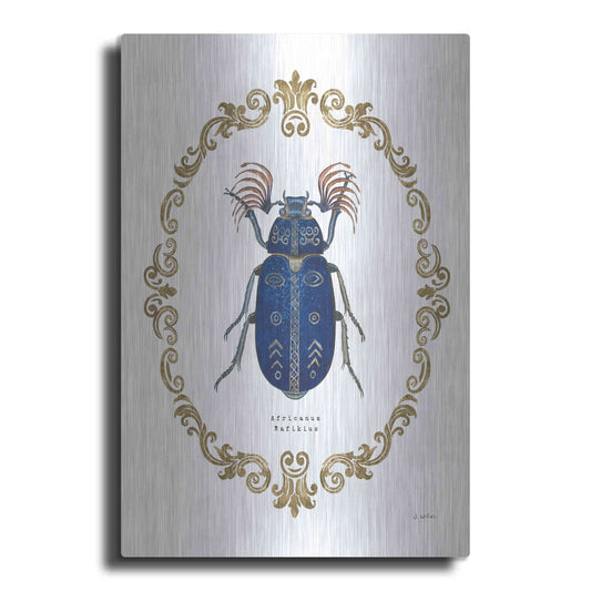 Luxe Metal Art 'Adorning Coleoptera III' by James Wiens, Metal Wall Art