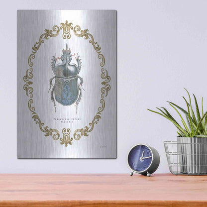 Luxe Metal Art 'Adorning Coleoptera IV' by James Wiens, Metal Wall Art,12x16