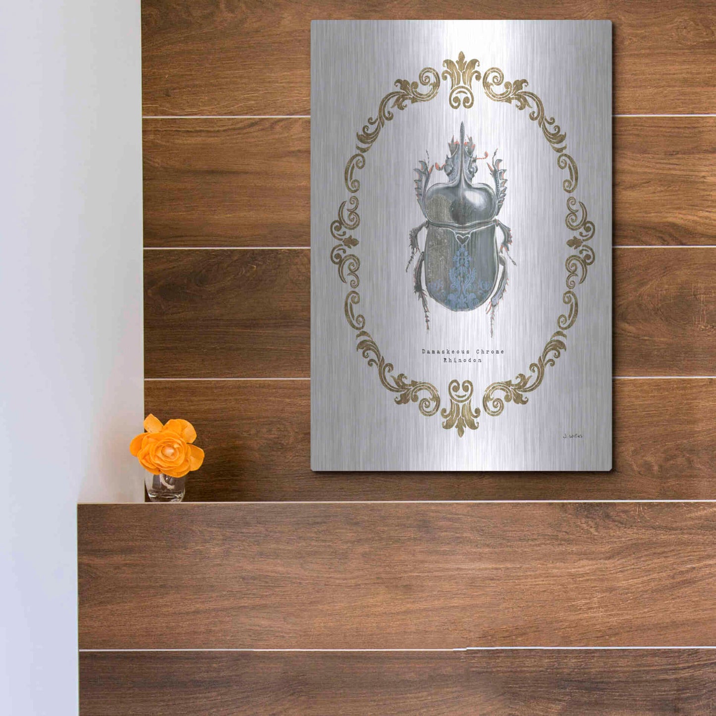 Luxe Metal Art 'Adorning Coleoptera IV' by James Wiens, Metal Wall Art,12x16