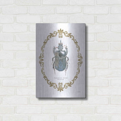 Luxe Metal Art 'Adorning Coleoptera IV' by James Wiens, Metal Wall Art,16x24