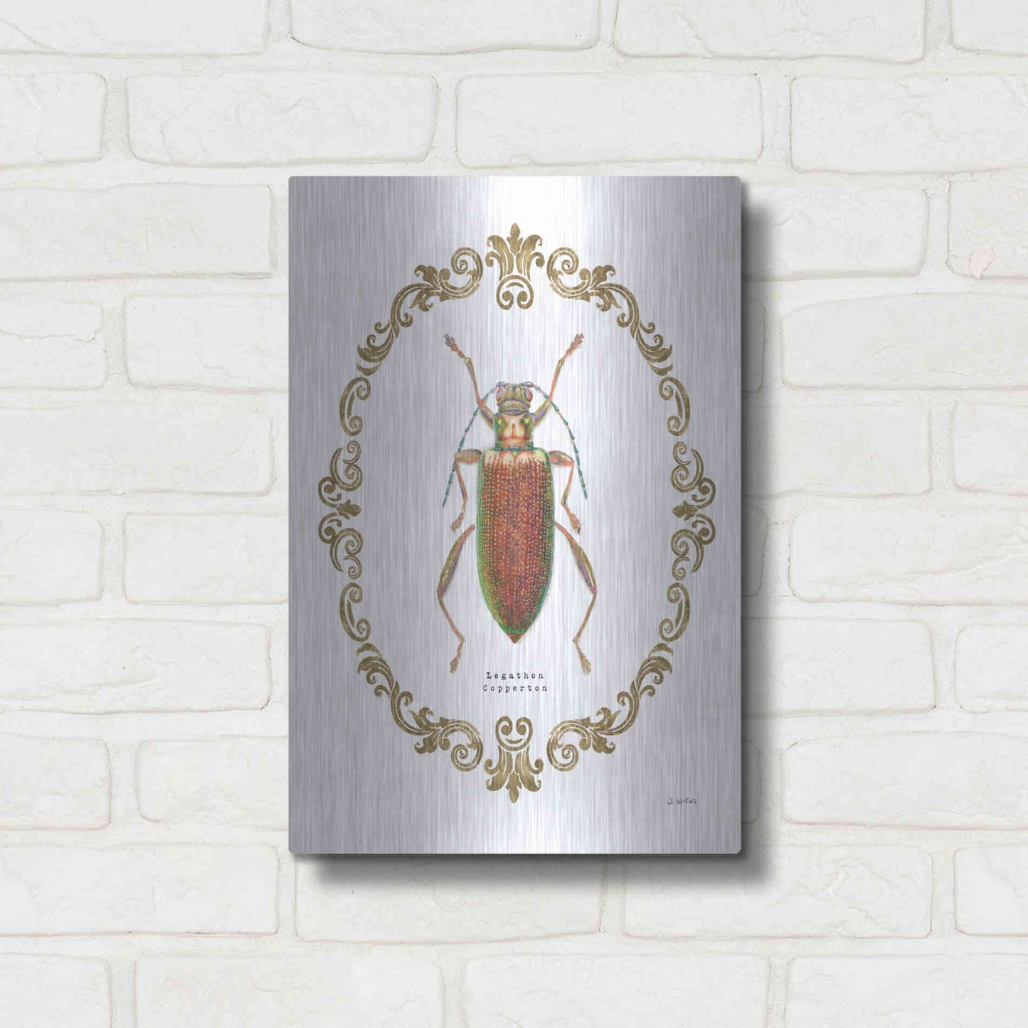 Luxe Metal Art 'Adorning Coleoptera VI' by James Wiens, Metal Wall Art,12x16