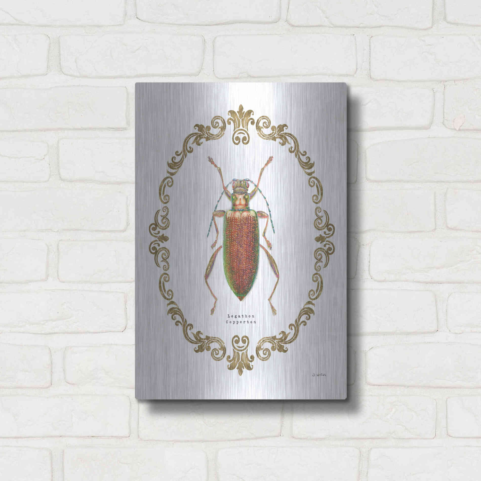 Luxe Metal Art 'Adorning Coleoptera VI' by James Wiens, Metal Wall Art,12x16
