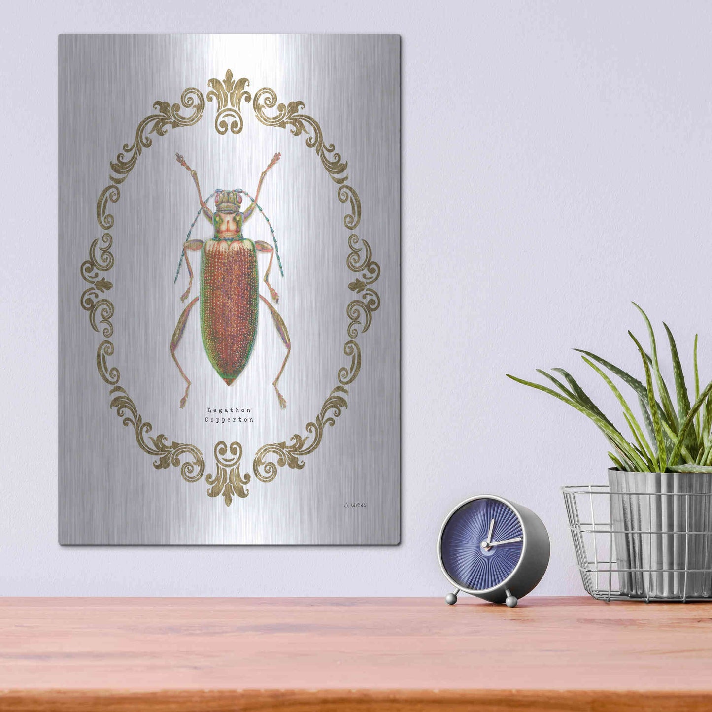 Luxe Metal Art 'Adorning Coleoptera VI' by James Wiens, Metal Wall Art,12x16