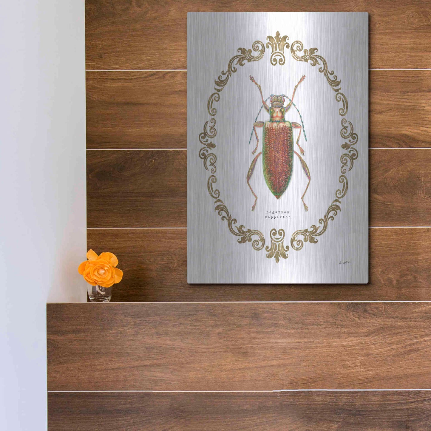 Luxe Metal Art 'Adorning Coleoptera VI' by James Wiens, Metal Wall Art,12x16