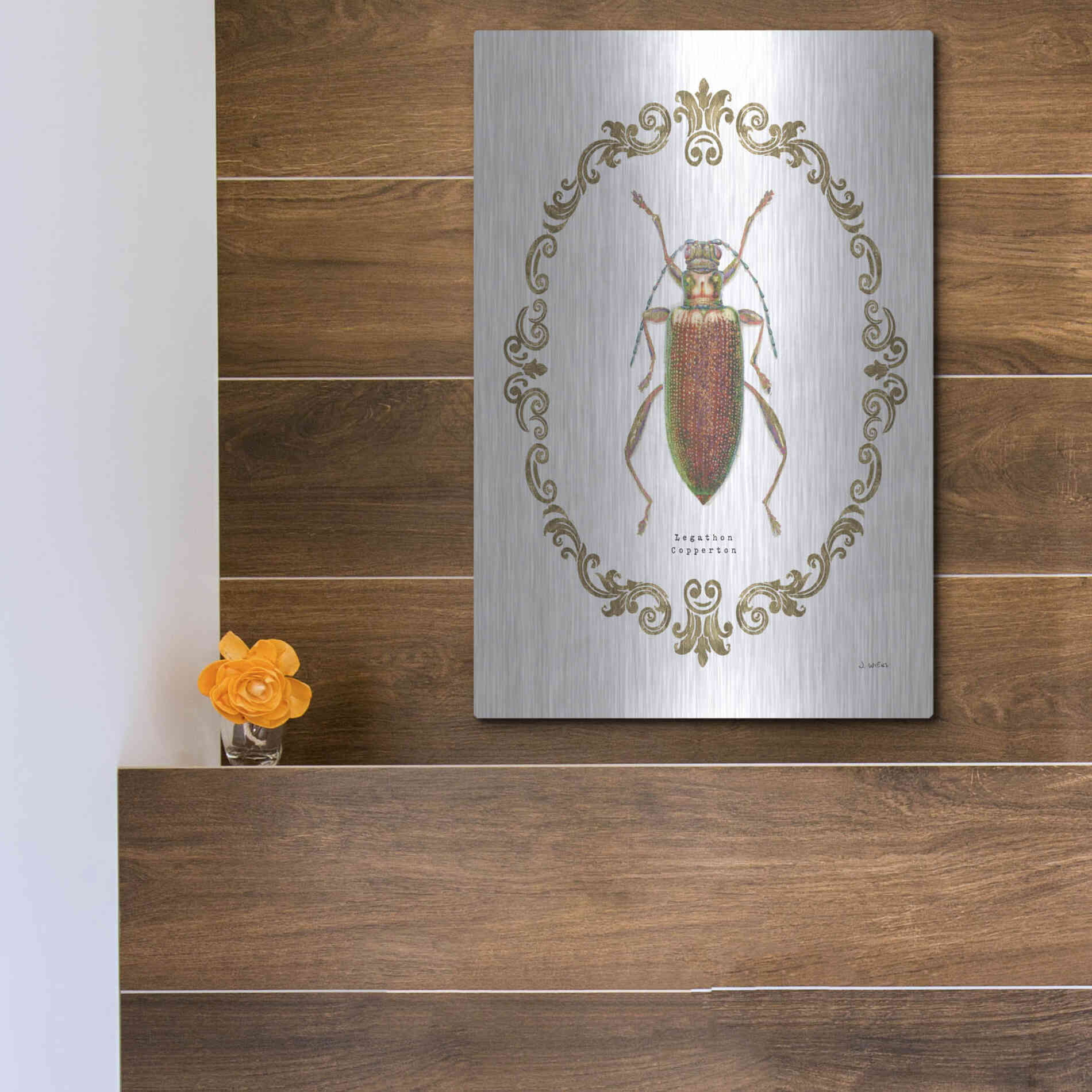 Luxe Metal Art 'Adorning Coleoptera VI' by James Wiens, Metal Wall Art,12x16
