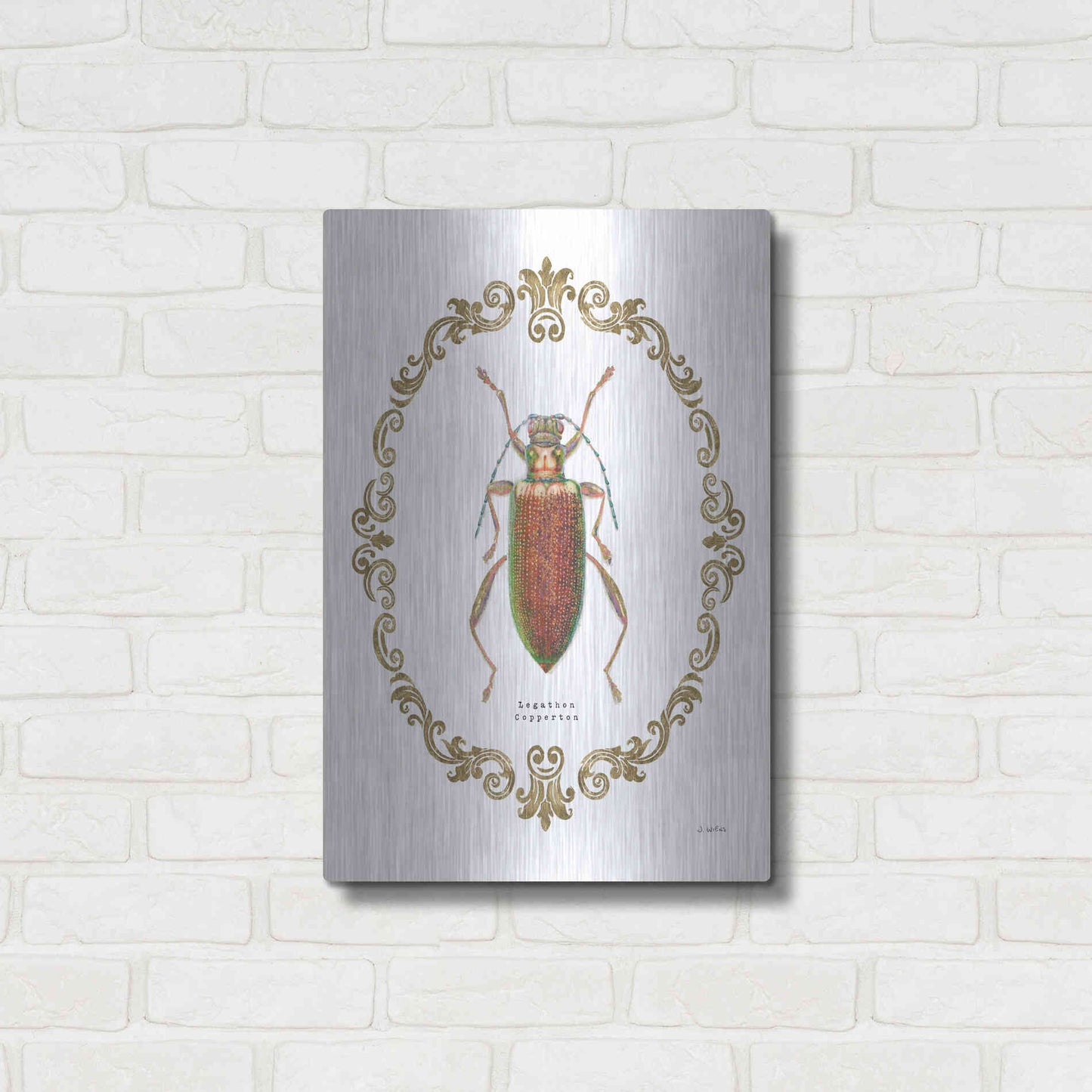 Luxe Metal Art 'Adorning Coleoptera VI' by James Wiens, Metal Wall Art,16x24