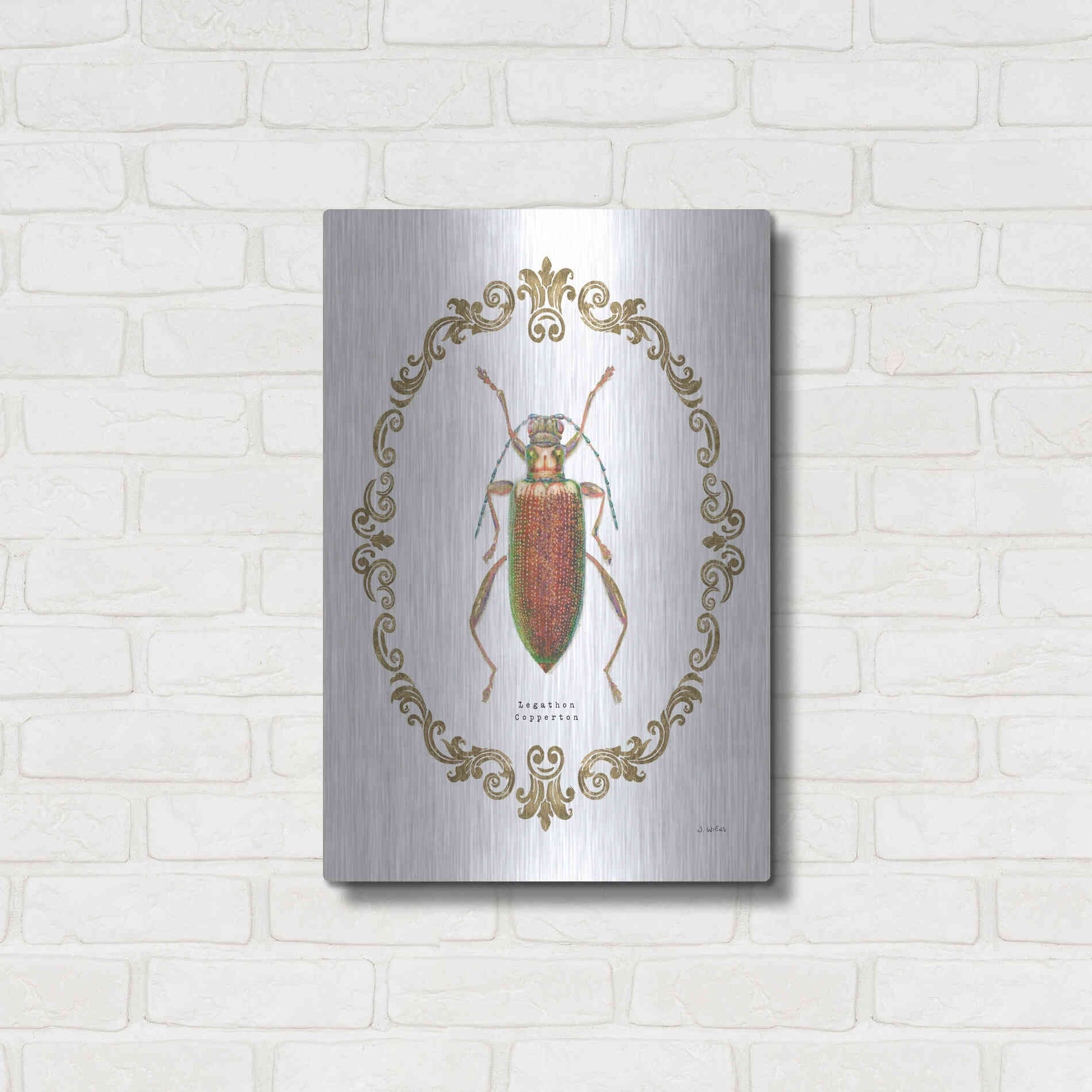 Luxe Metal Art 'Adorning Coleoptera VI' by James Wiens, Metal Wall Art,16x24