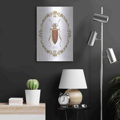 Luxe Metal Art 'Adorning Coleoptera VI' by James Wiens, Metal Wall Art,16x24