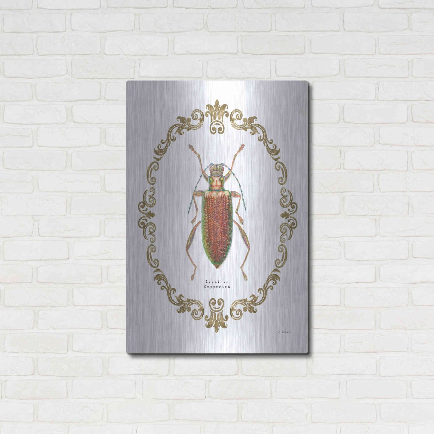 Luxe Metal Art 'Adorning Coleoptera VI' by James Wiens, Metal Wall Art,24x36