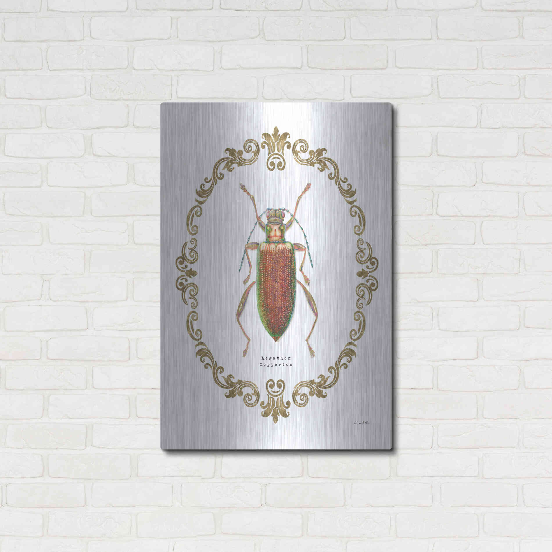 Luxe Metal Art 'Adorning Coleoptera VI' by James Wiens, Metal Wall Art,24x36