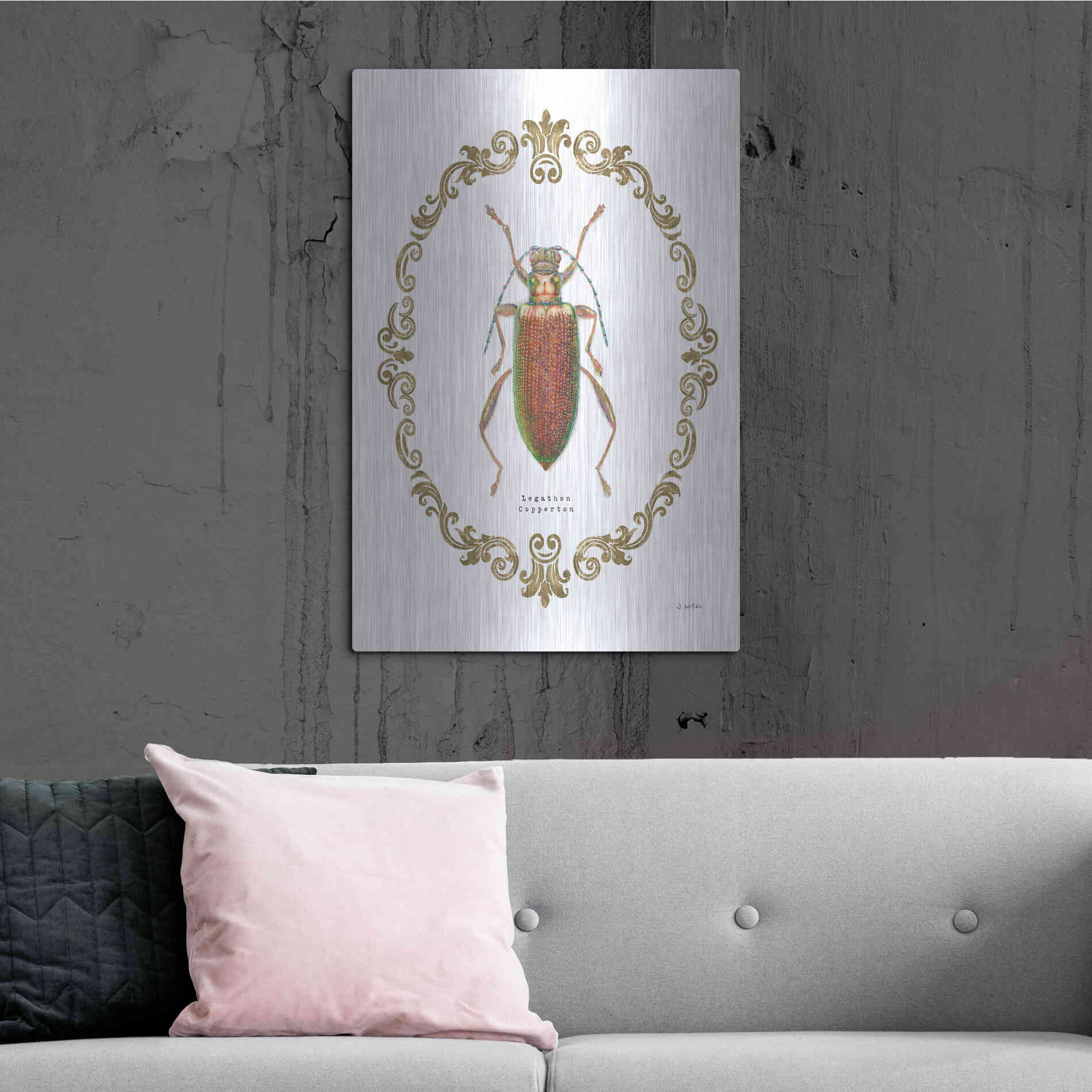 Luxe Metal Art 'Adorning Coleoptera VI' by James Wiens, Metal Wall Art,24x36