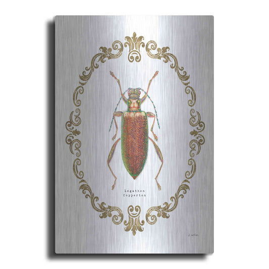 Luxe Metal Art 'Adorning Coleoptera VI' by James Wiens, Metal Wall Art