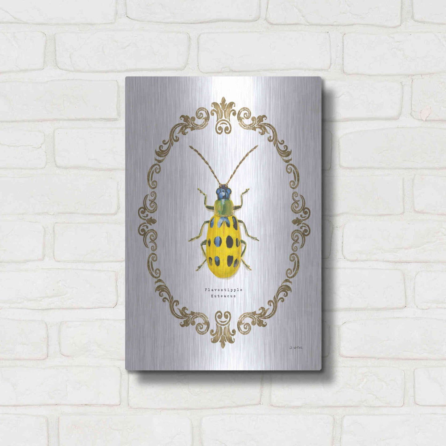 Luxe Metal Art 'Adorning Coleoptera VII' by James Wiens, Metal Wall Art,12x16