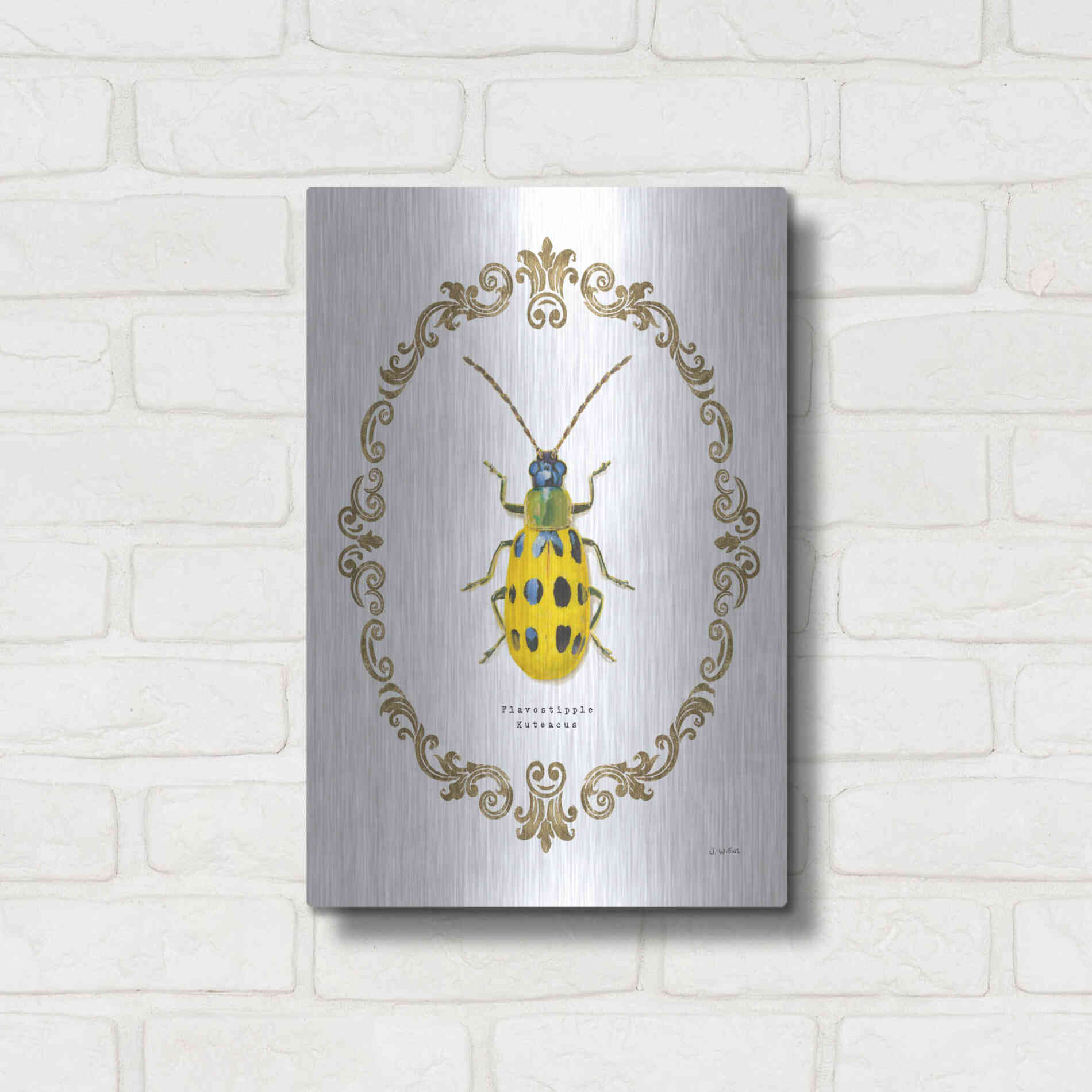 Luxe Metal Art 'Adorning Coleoptera VII' by James Wiens, Metal Wall Art,12x16