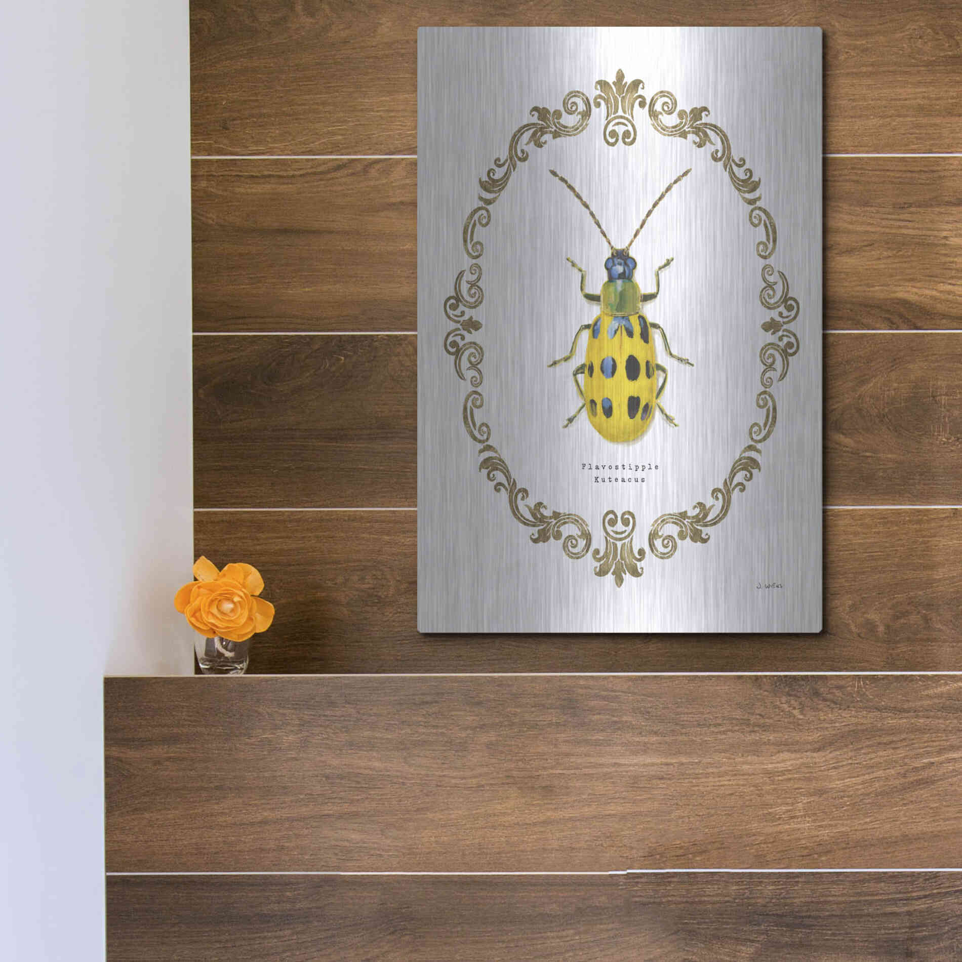 Luxe Metal Art 'Adorning Coleoptera VII' by James Wiens, Metal Wall Art,12x16