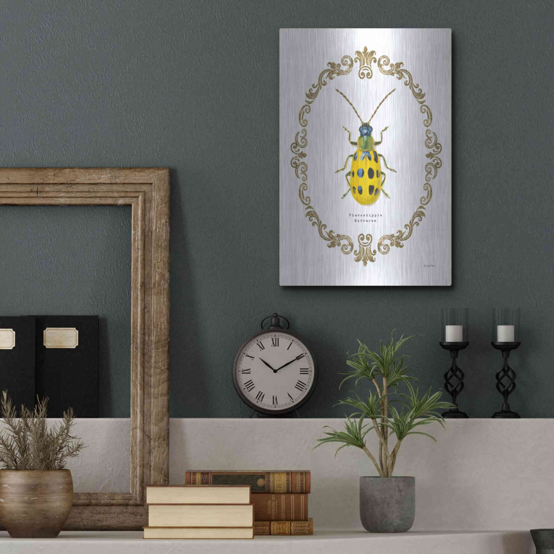 Luxe Metal Art 'Adorning Coleoptera VII' by James Wiens, Metal Wall Art,12x16