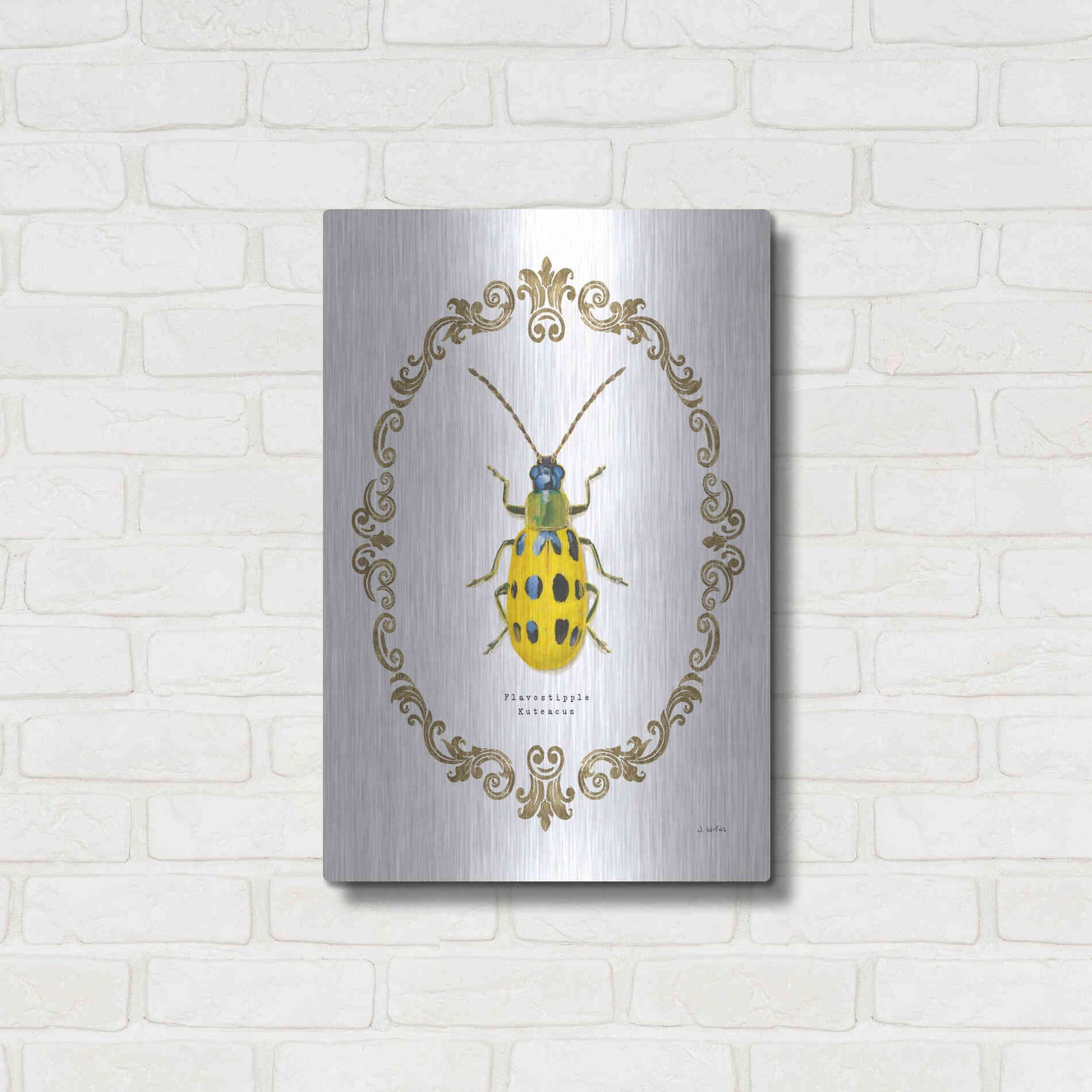 Luxe Metal Art 'Adorning Coleoptera VII' by James Wiens, Metal Wall Art,16x24