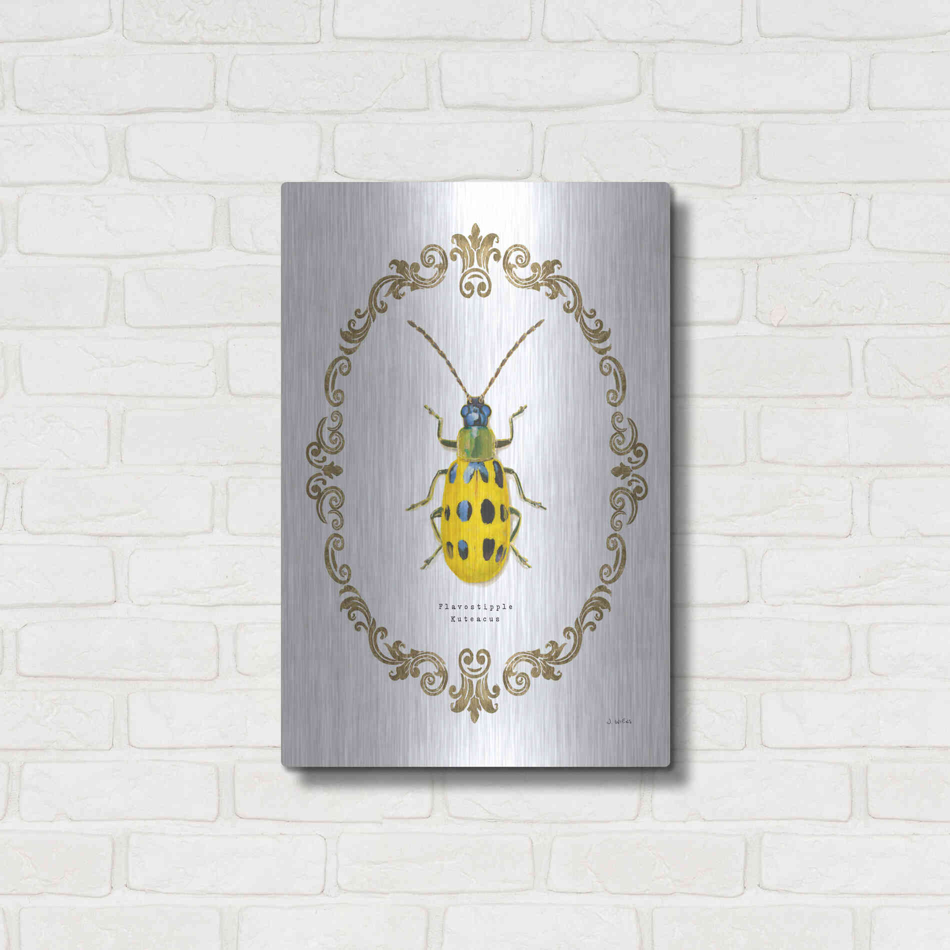 Luxe Metal Art 'Adorning Coleoptera VII' by James Wiens, Metal Wall Art,16x24
