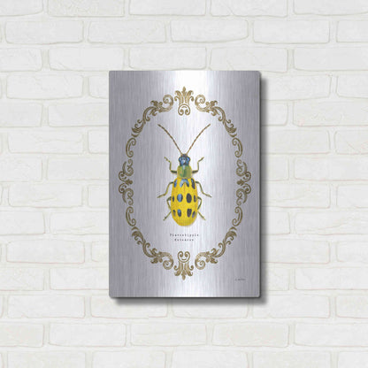 Luxe Metal Art 'Adorning Coleoptera VII' by James Wiens, Metal Wall Art,16x24