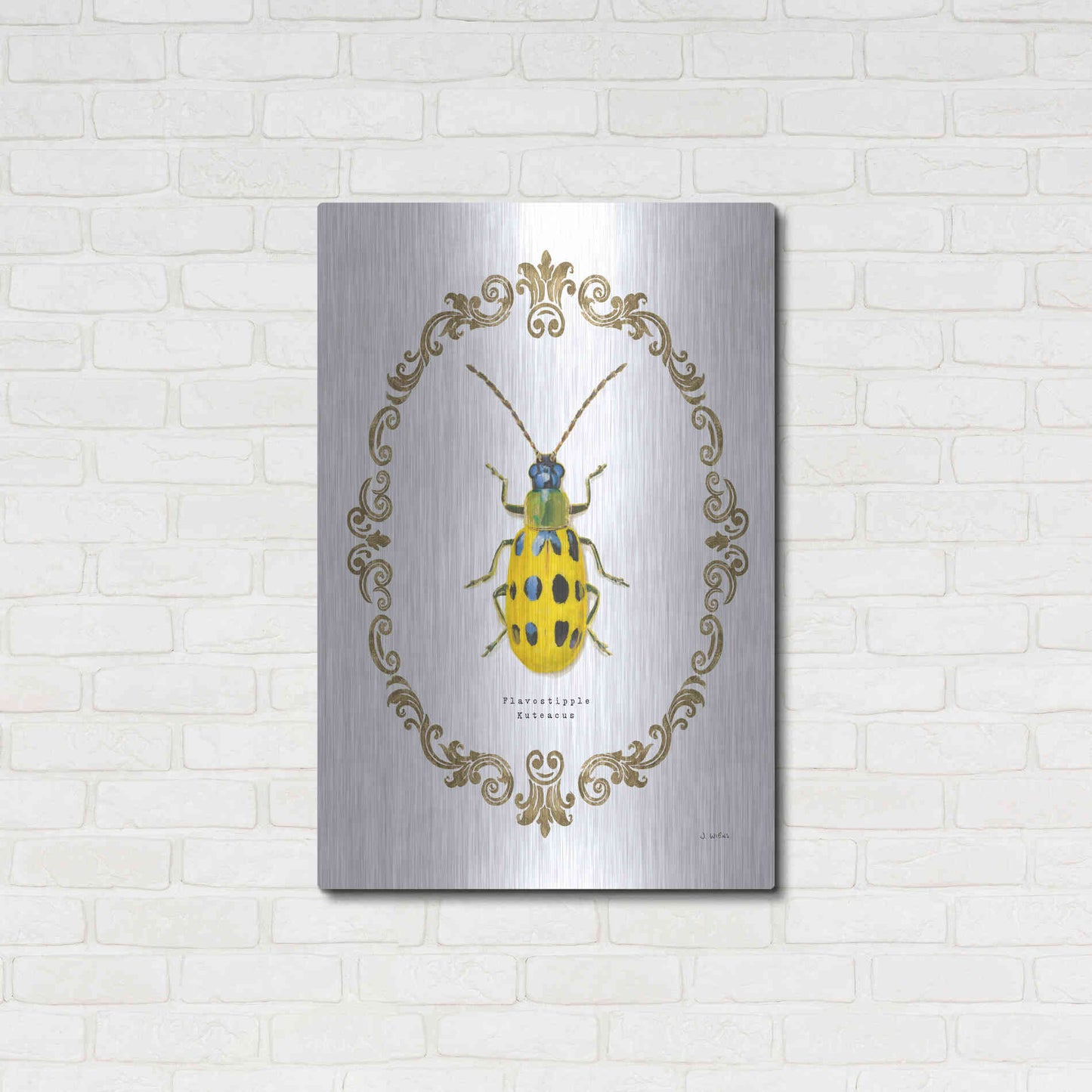 Luxe Metal Art 'Adorning Coleoptera VII' by James Wiens, Metal Wall Art,24x36