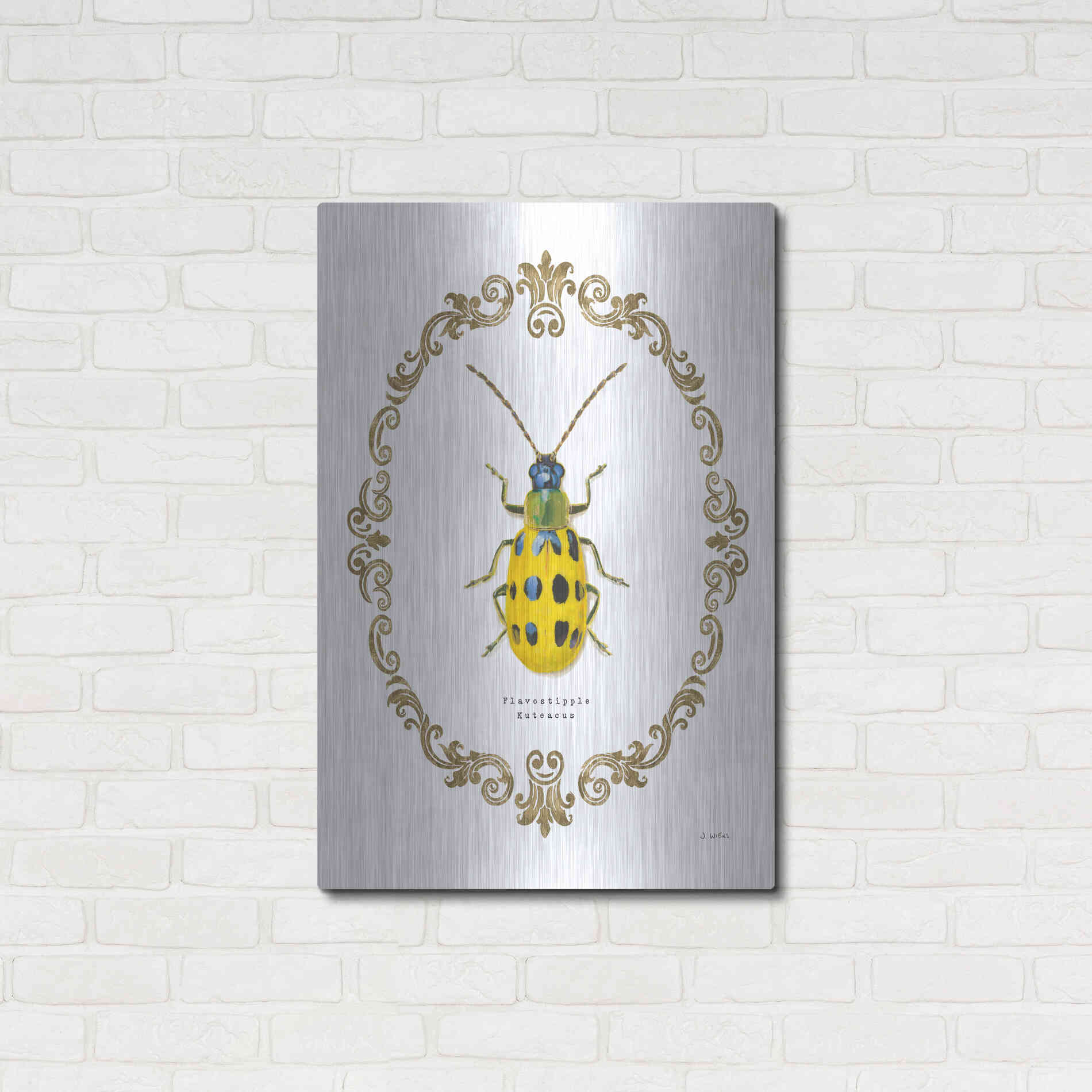 Luxe Metal Art 'Adorning Coleoptera VII' by James Wiens, Metal Wall Art,24x36