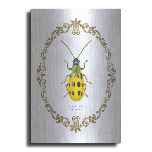Luxe Metal Art 'Adorning Coleoptera VII' by James Wiens, Metal Wall Art