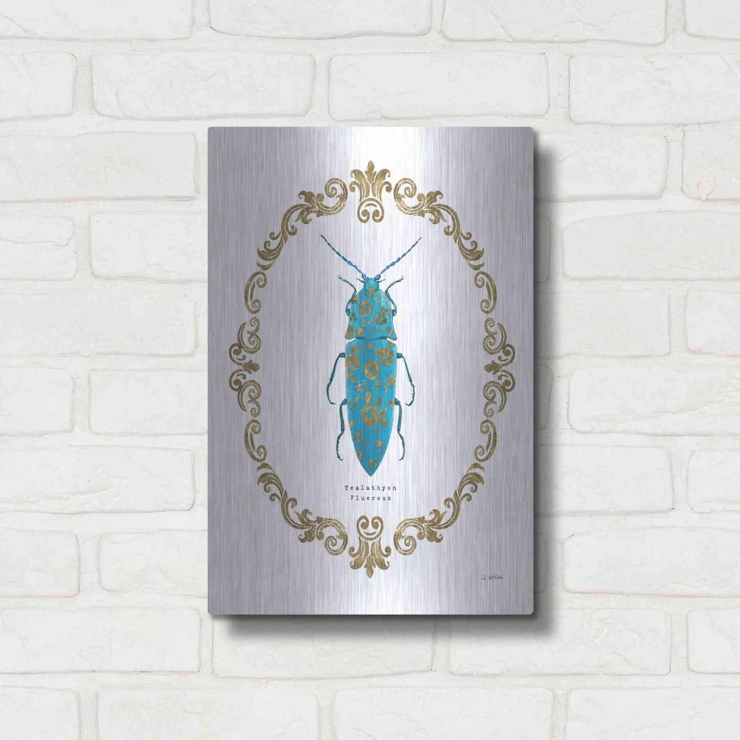 Luxe Metal Art 'Adorning Coleoptera VIII' by James Wiens, Metal Wall Art,12x16