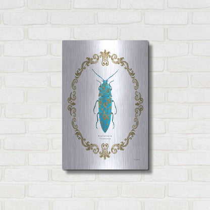 Luxe Metal Art 'Adorning Coleoptera VIII' by James Wiens, Metal Wall Art,16x24