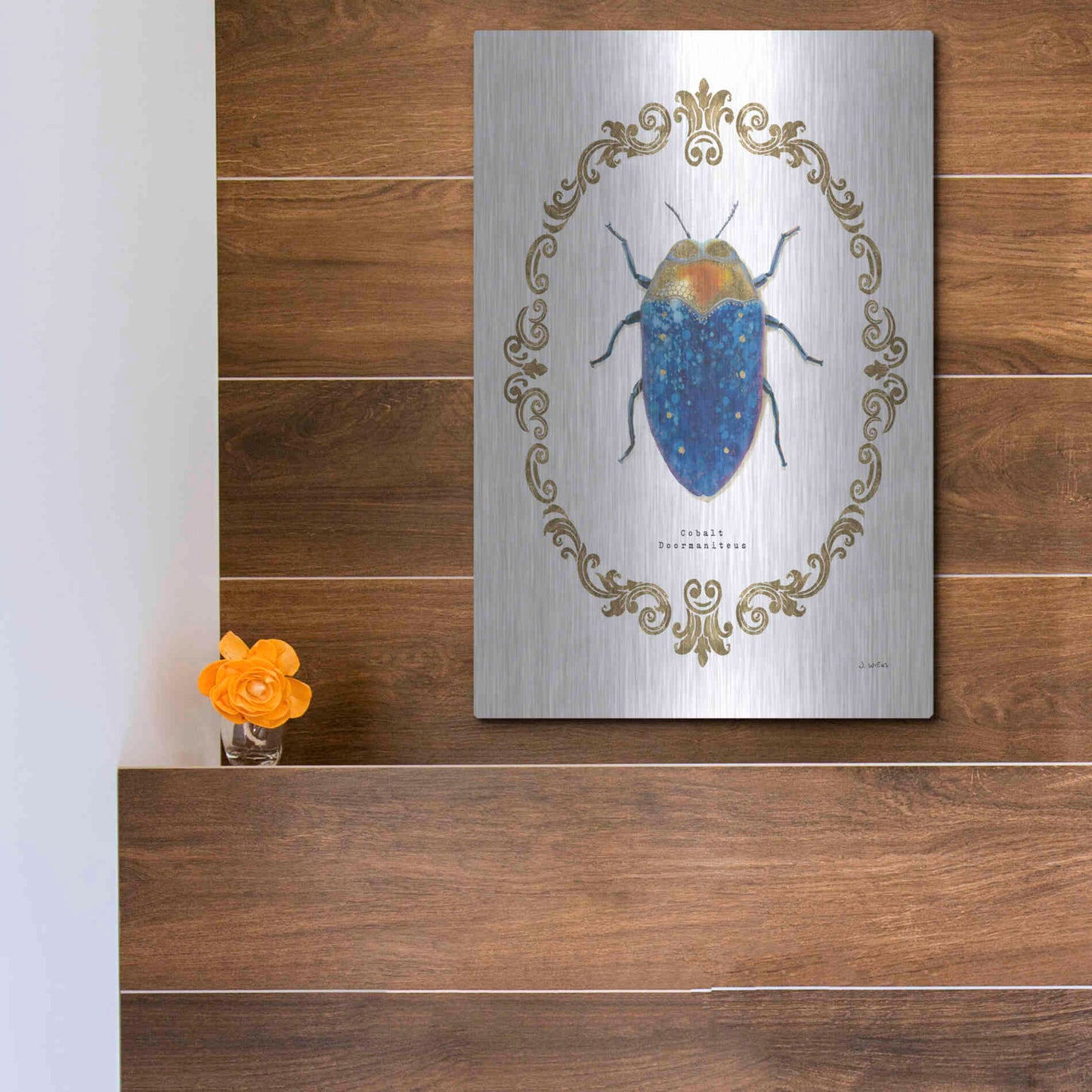 Luxe Metal Art 'Adorning Coleoptera V' by James Wiens, Metal Wall Art,12x16