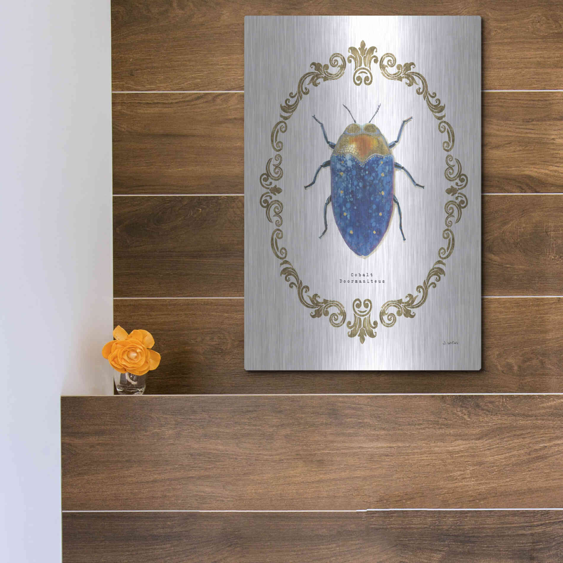 Luxe Metal Art 'Adorning Coleoptera V' by James Wiens, Metal Wall Art,12x16