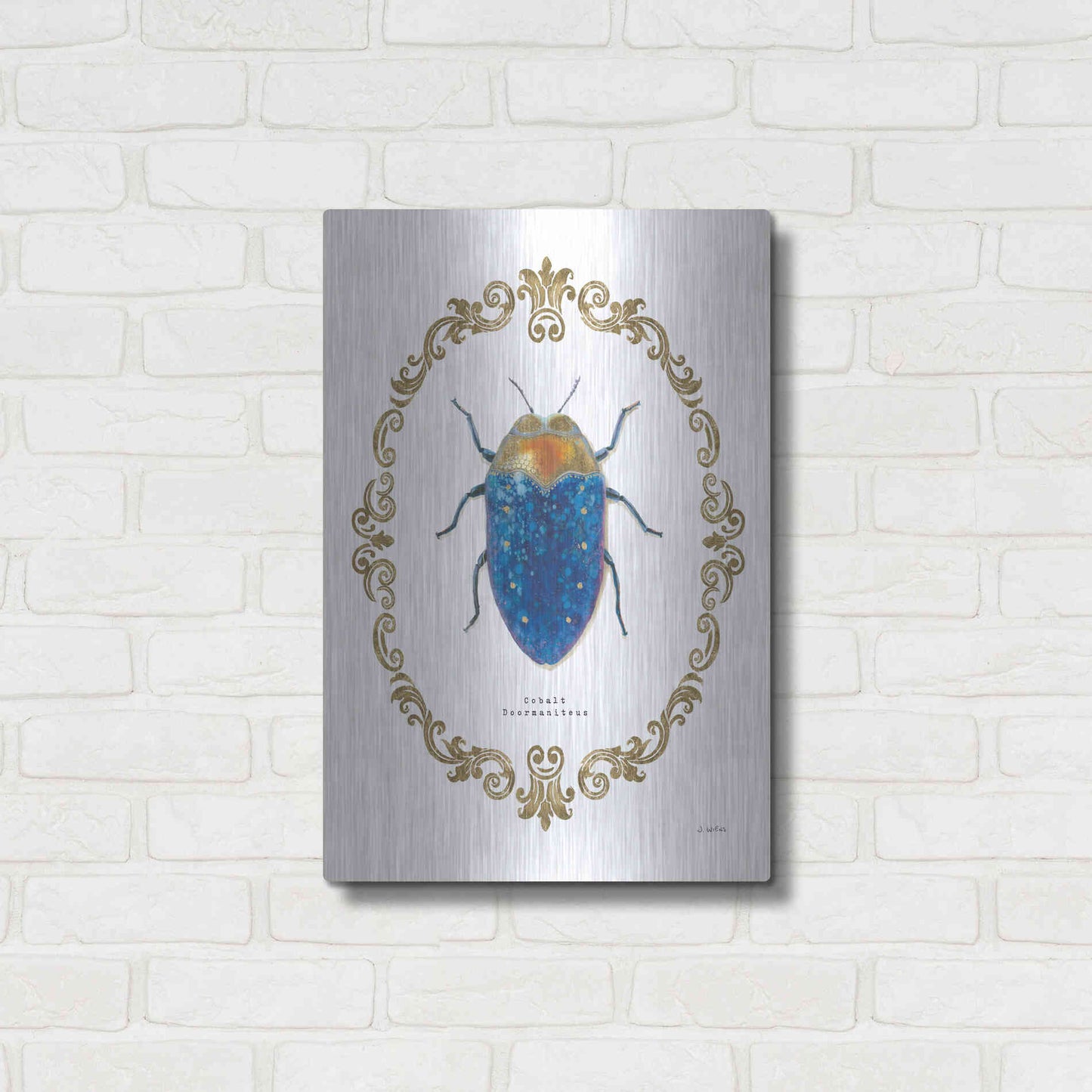 Luxe Metal Art 'Adorning Coleoptera V' by James Wiens, Metal Wall Art,16x24