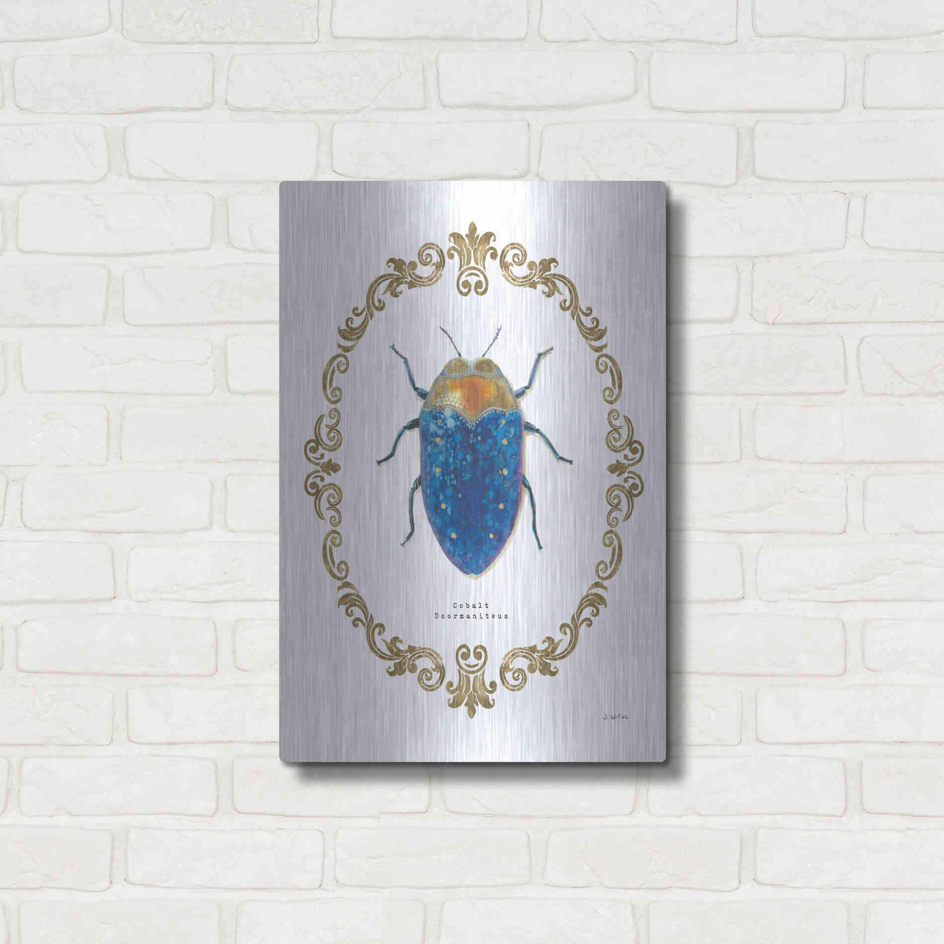 Luxe Metal Art 'Adorning Coleoptera V' by James Wiens, Metal Wall Art,16x24