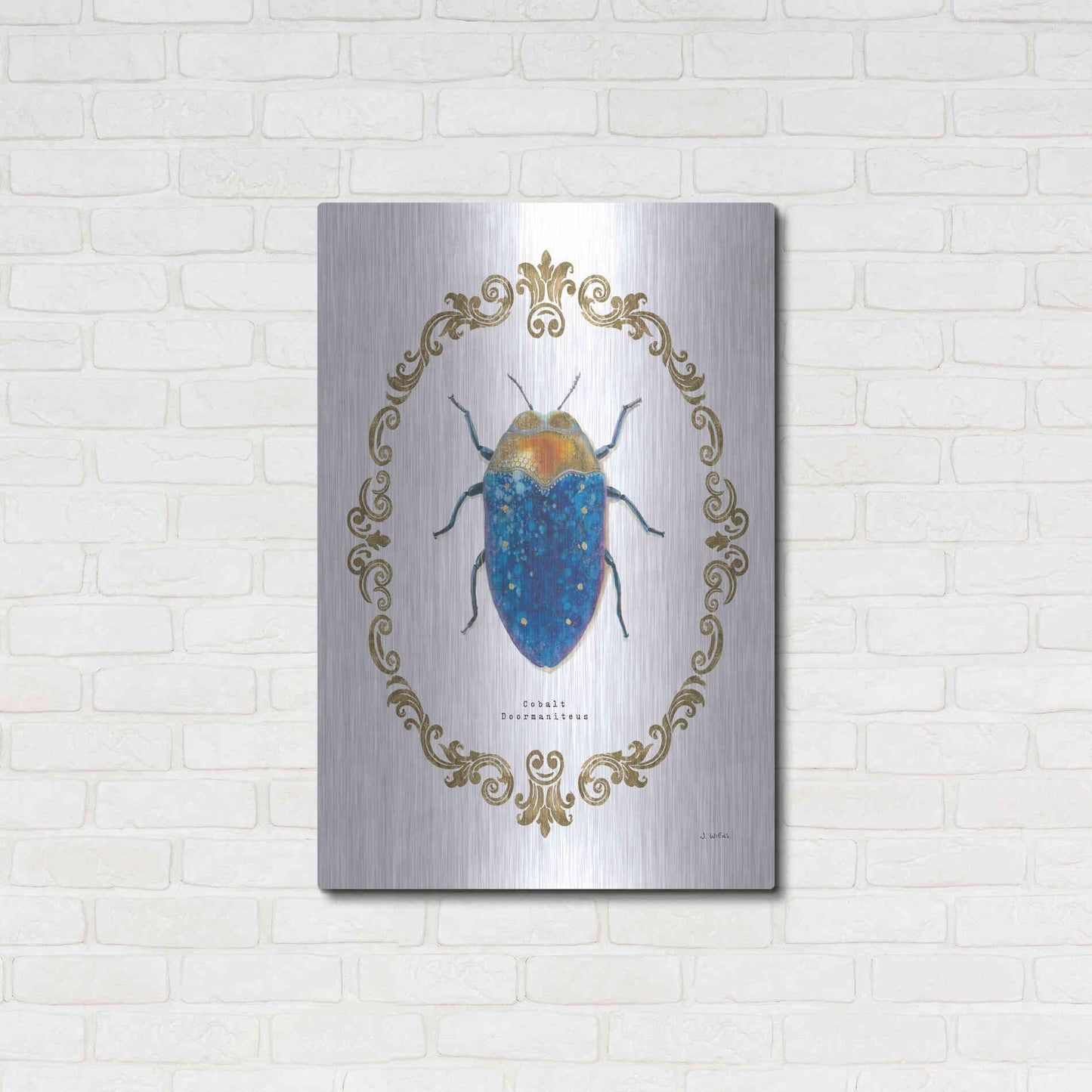 Luxe Metal Art 'Adorning Coleoptera V' by James Wiens, Metal Wall Art,24x36