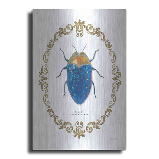 Luxe Metal Art 'Adorning Coleoptera V' by James Wiens, Metal Wall Art