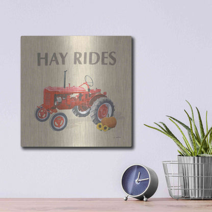 Luxe Metal Art 'Heartland Harvest Moments V' by James Wiens, Metal Wall Art,12x12