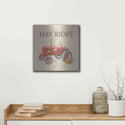 Luxe Metal Art 'Heartland Harvest Moments V' by James Wiens, Metal Wall Art,12x12
