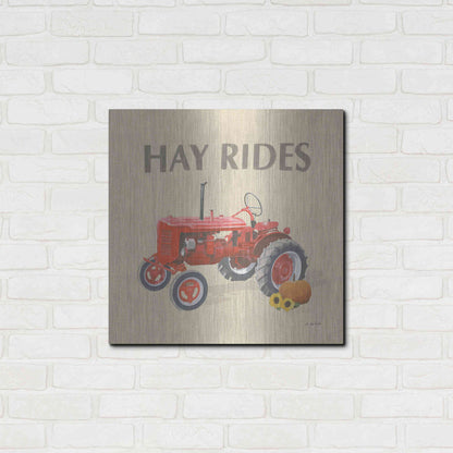 Luxe Metal Art 'Heartland Harvest Moments V' by James Wiens, Metal Wall Art,24x24