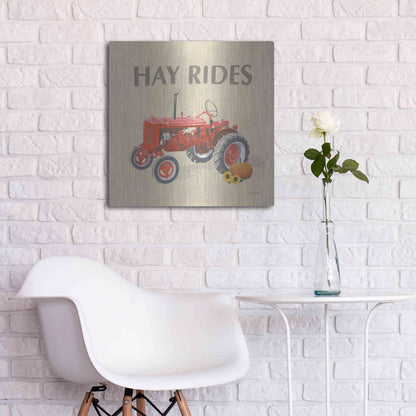 Luxe Metal Art 'Heartland Harvest Moments V' by James Wiens, Metal Wall Art,24x24