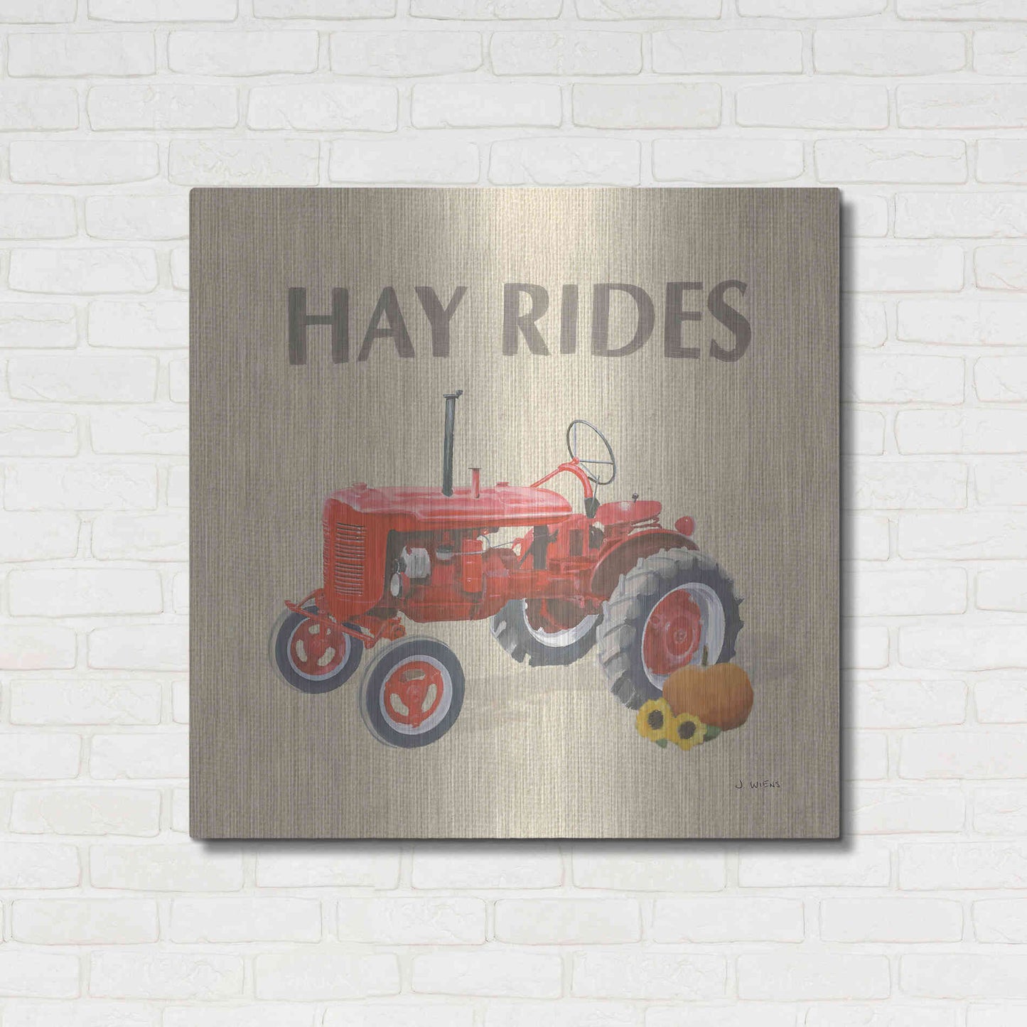 Luxe Metal Art 'Heartland Harvest Moments V' by James Wiens, Metal Wall Art,36x36