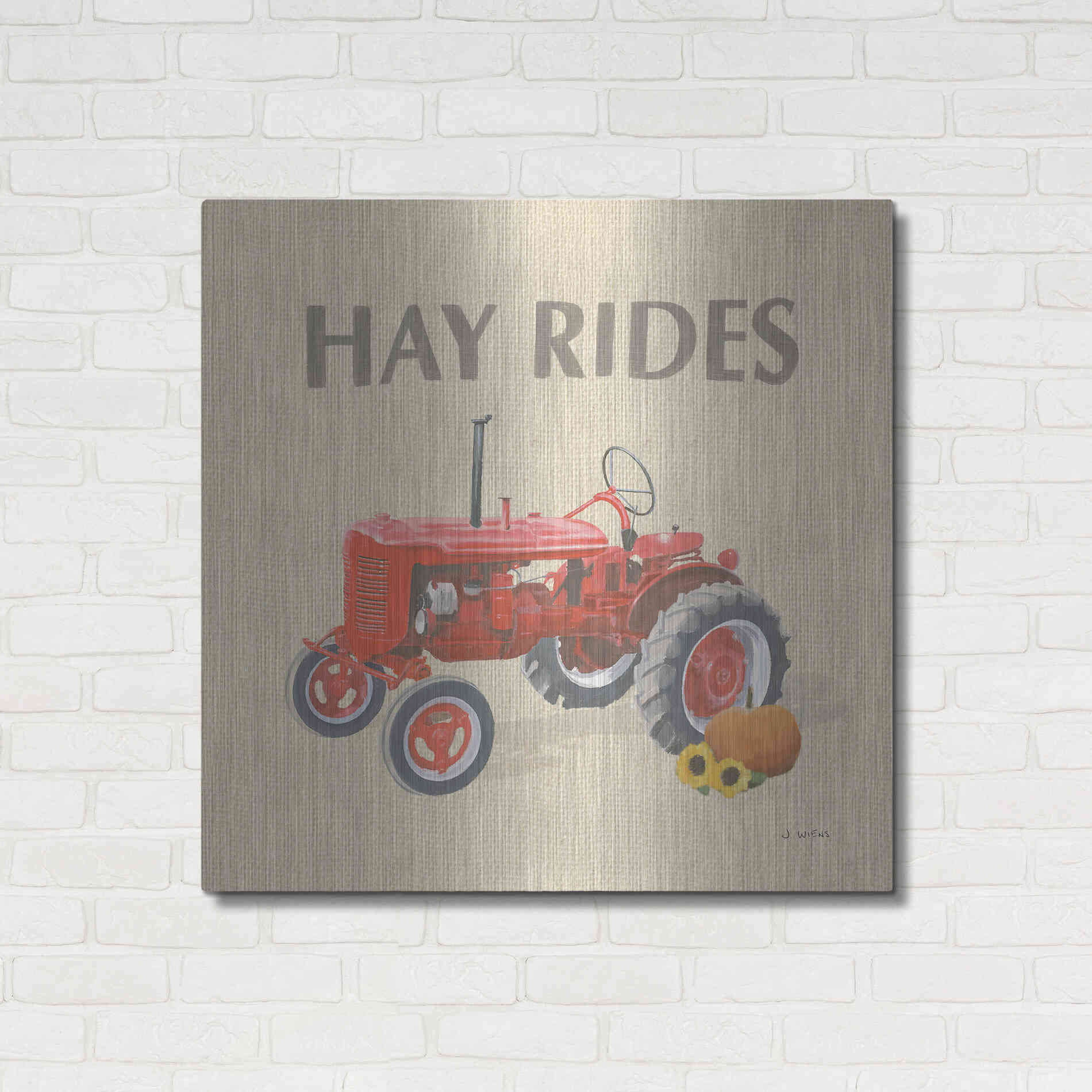Luxe Metal Art 'Heartland Harvest Moments V' by James Wiens, Metal Wall Art,36x36