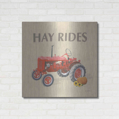 Luxe Metal Art 'Heartland Harvest Moments V' by James Wiens, Metal Wall Art,36x36
