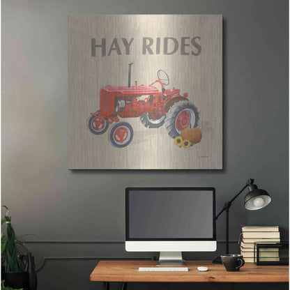 Luxe Metal Art 'Heartland Harvest Moments V' by James Wiens, Metal Wall Art,36x36