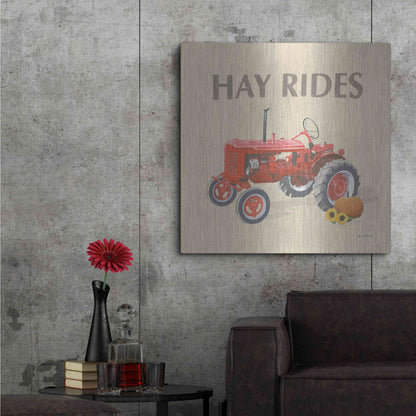 Luxe Metal Art 'Heartland Harvest Moments V' by James Wiens, Metal Wall Art,36x36