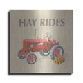 Luxe Metal Art 'Heartland Harvest Moments V' by James Wiens, Metal Wall Art