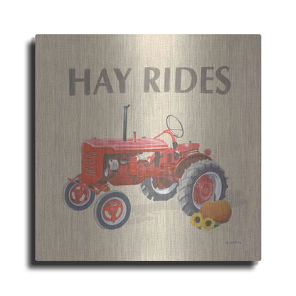 Luxe Metal Art 'Heartland Harvest Moments V' by James Wiens, Metal Wall Art